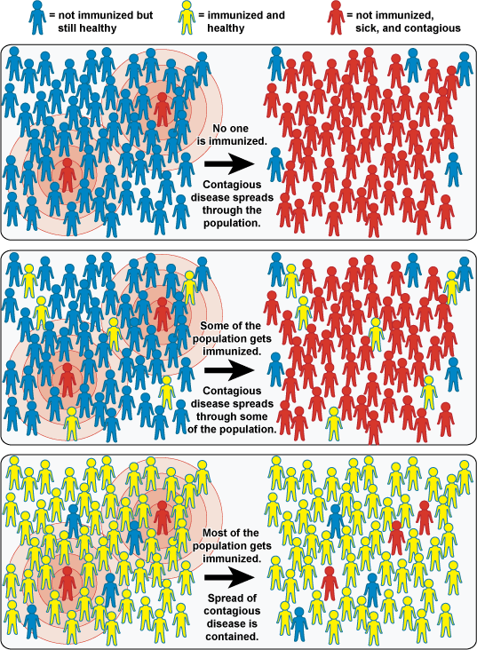 Herd Immunity Chart Courtesy of National Institutes of Health at Vaccines.gov