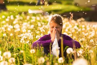 pollen allergies